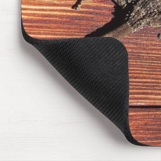 Lizard Mousepad (Ecke)