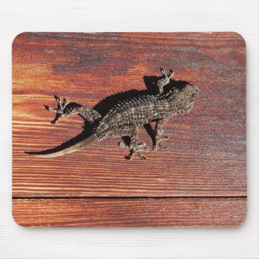 Lizard Mousepad (Vorne)