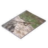 Lizard Notizblock (Linke Seite)