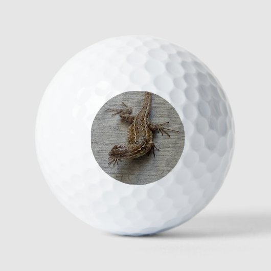 Lizard on Cement Golfball (Vorderseite)
