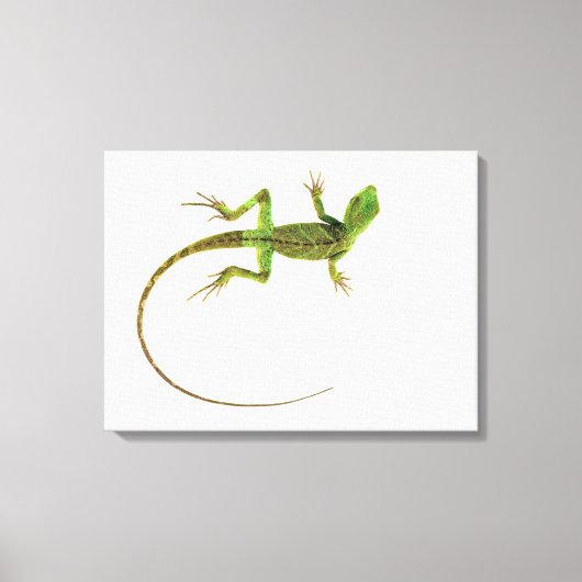 Lizard on White Ground Leinwanddruck (Vorderseite)