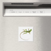 Lizard on White Ground Magnet (In Situ (Geschirrspüler))