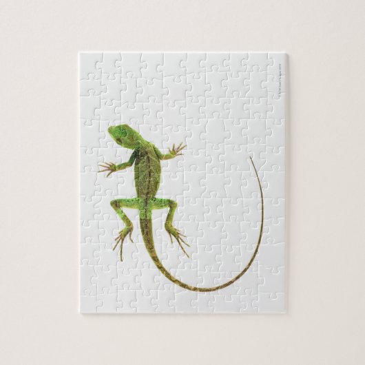 Lizard on White Ground Puzzle (Vertikal)