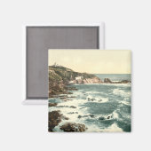 Lizard Point, Cornwall, England Magnet (Vorderseite/Rückseite)