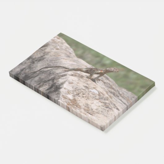 Lizard Post-it Klebezettel (angewinkelt)