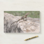 Lizard Post-it Klebezettel (Auf Schreibtisch)