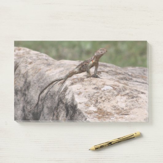 Lizard Post-it Klebezettel (Auf Schreibtisch)