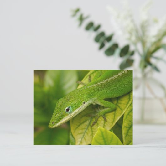 Lizard Postcard 01 Postkarte (Stehend Vorderseite)