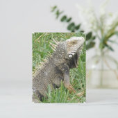 Lizard Postcard Postkarte (Stehend Vorderseite)