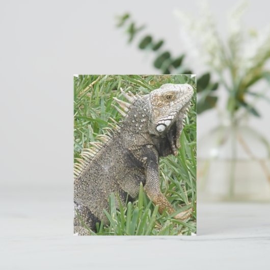 Lizard Postcard Postkarte (Stehend Vorderseite)