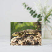 Lizard Postcard Postkarte (Stehend Vorderseite)