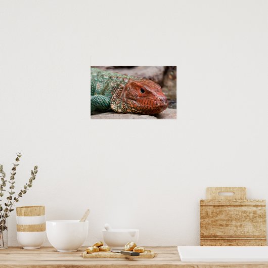 Lizard Poster (Küche)