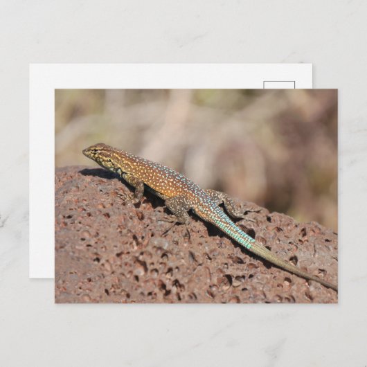 Lizard Postkarte (Vorne/Hinten)
