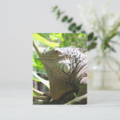 Lizard Postkarte (Stehend Vorderseite)