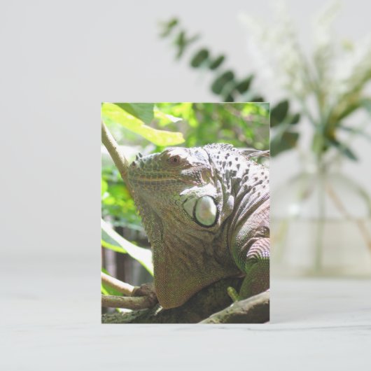 Lizard Postkarte (Stehend Vorderseite)