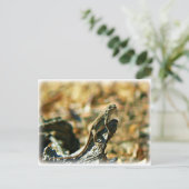 Lizard Postkarte (Stehend Vorderseite)