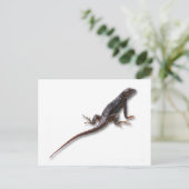 LIZARD POSTKARTE (Stehend Vorderseite)