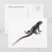 LIZARD POSTKARTE (Vorne/Hinten)