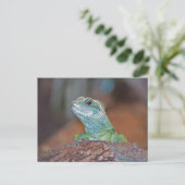 Lizard Postkarte (Stehend Vorderseite)