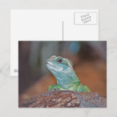 Lizard Postkarte (Vorne/Hinten)