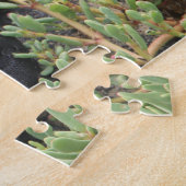 Lizard Puzzle (Seite)