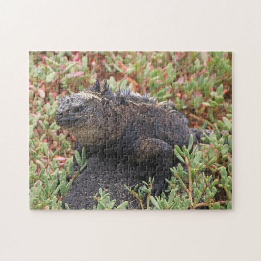 Lizard Puzzle (Horizontal)