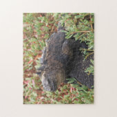 Lizard Puzzle (Vertikal)