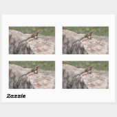 Lizard Rechteckiger Aufkleber (Blatt)