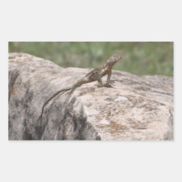 Lizard Rechteckiger Aufkleber