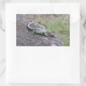 Lizard Rechteckiger Aufkleber (Tasche)