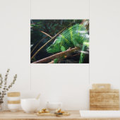 Lizard, Reptil, Chameleon, Naturele-Poster Poster (Küche)