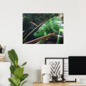 Lizard, Reptil, Chameleon, Naturele-Poster Poster (Heimbüro)