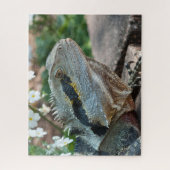 Lizard Reptile Eastern Water Dragon Puzzle (Vertikal)