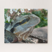 Lizard Reptile Eastern Water Dragon Puzzle (Horizontal)