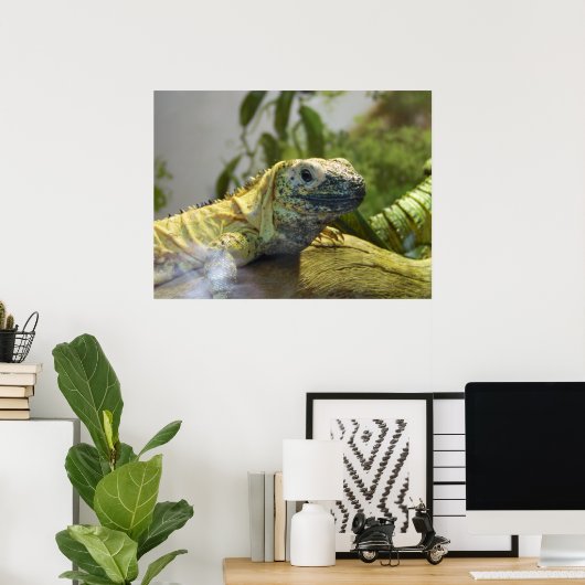 Lizard, Reptile, Iguana Naturewall Poster (Heimbüro)