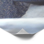 Lizard, Reptile, Kimono Dragon Naturewall Poster (Ecke)