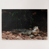 Lizard Reptile - Östlicher Wasserdrache Puzzle (Horizontal)