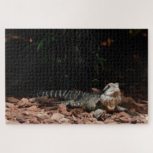 Lizard Reptile - Östlicher Wasserdrache Puzzle (Horizontal)
