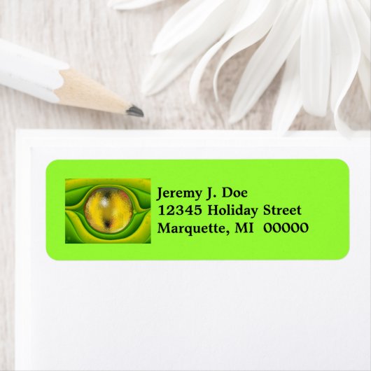 Lizard reptilian Eye reptile Rücksendeadressen-Auf (Insitu)