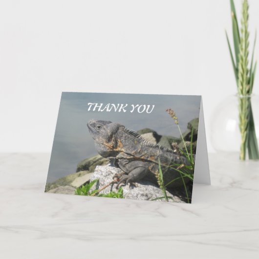 Lizard Rock Thank You Greeting Card Dankeskarte (Vorderseite)