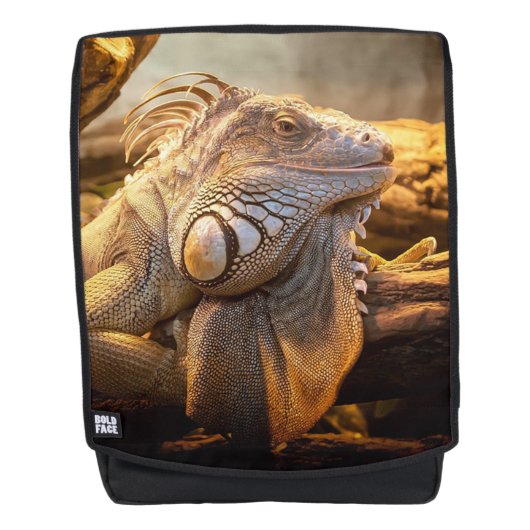Lizard Rucksack (Vorderseite)