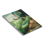 Lizard sieht nah nach oben notizblock (Rechte Seite)