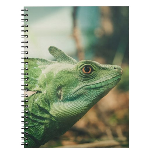 Lizard sieht nah nach oben notizblock (Vorderseite)