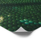 Lizard sieht nah nach oben poster (Ecke)