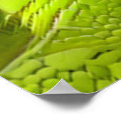 Lizard Skinned Abstract Poster (Ecke)