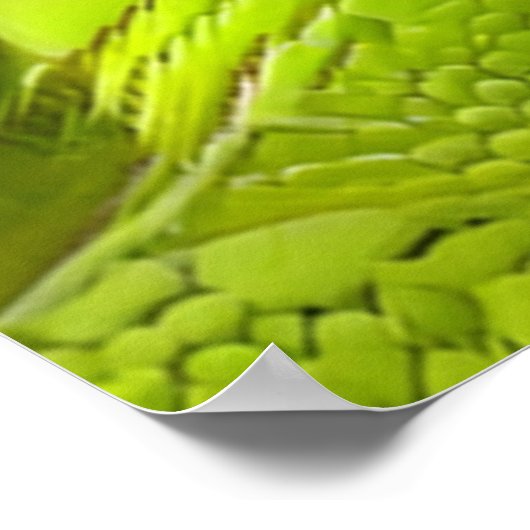 Lizard Skinned Abstract Poster (Ecke)