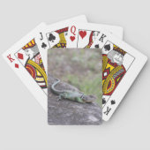 Lizard Spielkarten (Rückseite)