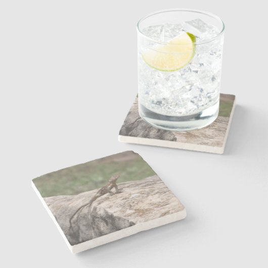 Lizard Steinuntersetzer (Seitenansicht)