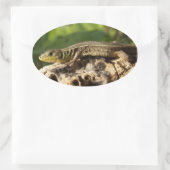 Lizard Stickers (Tasche)