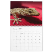 Lizard Themed 2025 Wall Calendar Geschenk Kalender (Feb 2027)